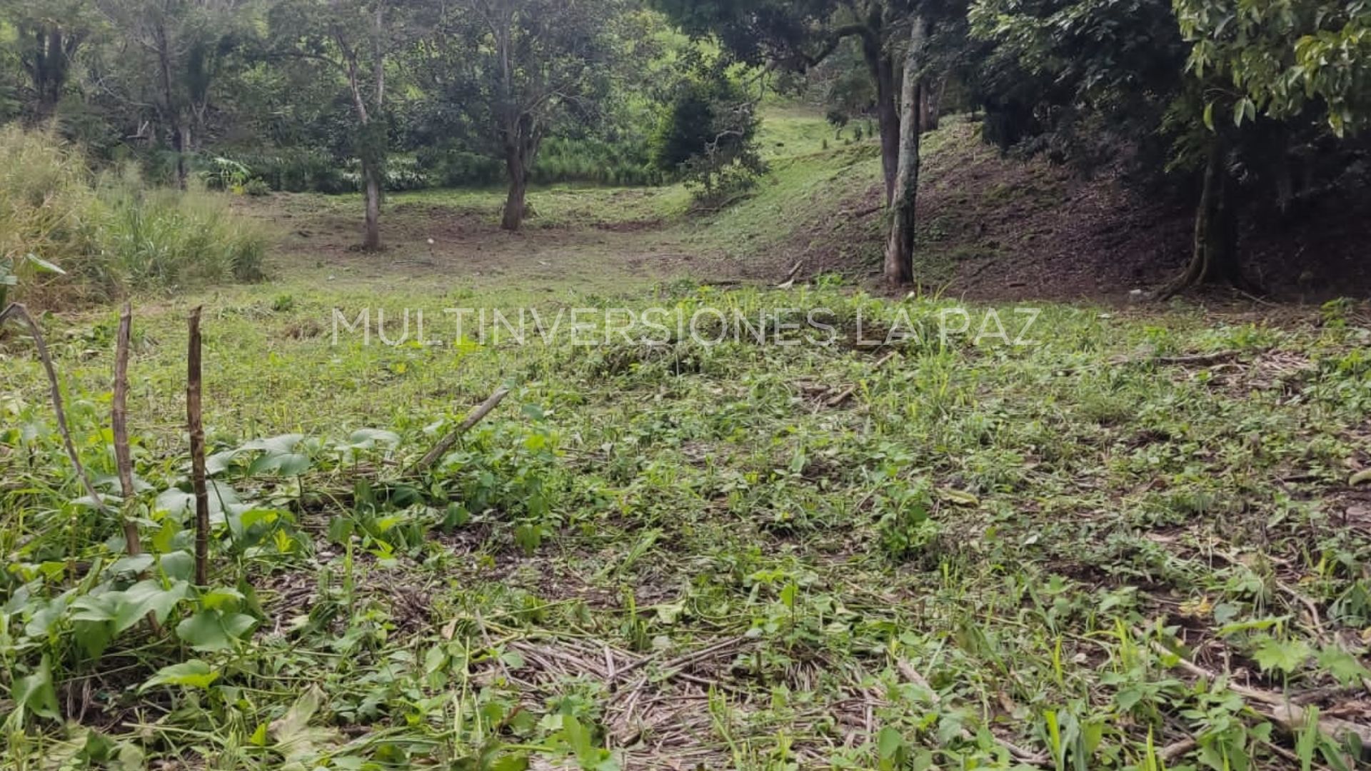 Terreno en venta - Alturas de Tenerife